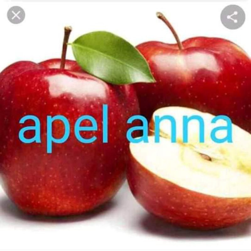 

apel ana