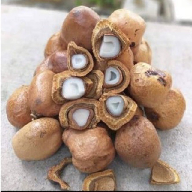 Buah Zuriat-Promil-1kg-Buah Zuriat Mesir