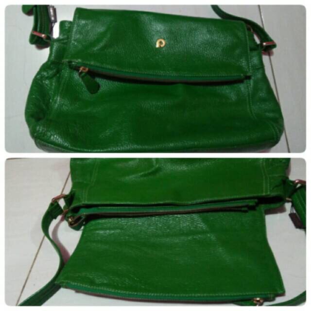 Preloved papilon