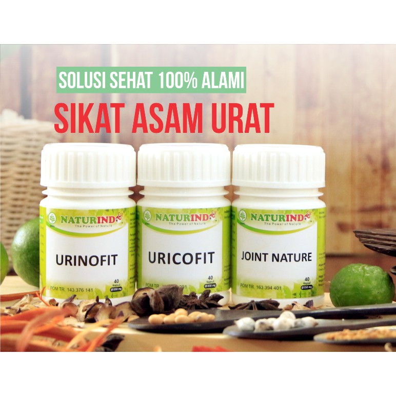 PAKET PENGOBATAN ASAM URAT HERBAL NATURINDO