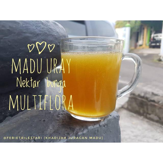 

Madu Murni Multiflora 100%
