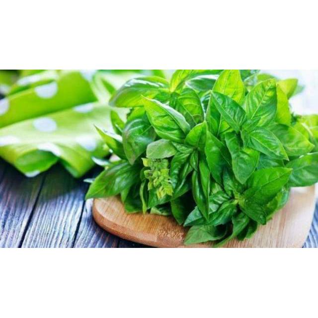 Benih Bibit Biji - Kemangi Super Kualitas Super Unggul Aromatik Basil Lemon Lokal Lalap Herb Seeds - Panen Dalam 25 Hari