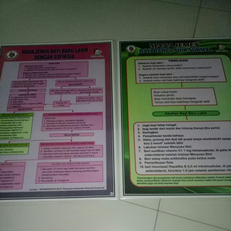 

Poster Manajemen BBL Asfiksia dan Manajemen BBL Normal