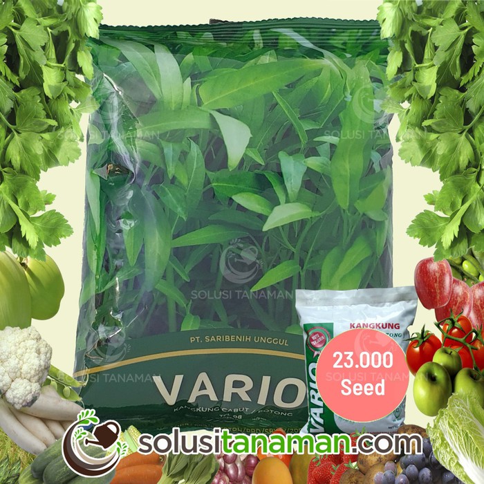 Benih Sayur Sayuran Kangkung Vario @ 1 Kg Benih Hidroponik Organik hp550