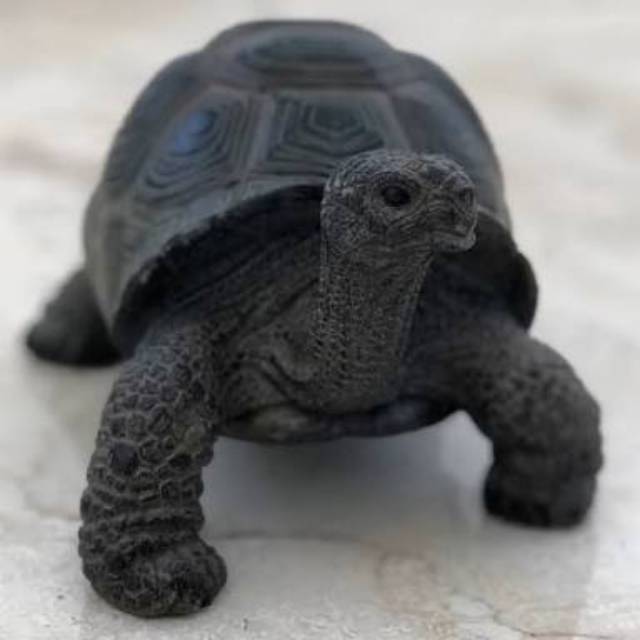 Resin Aldabra Torto