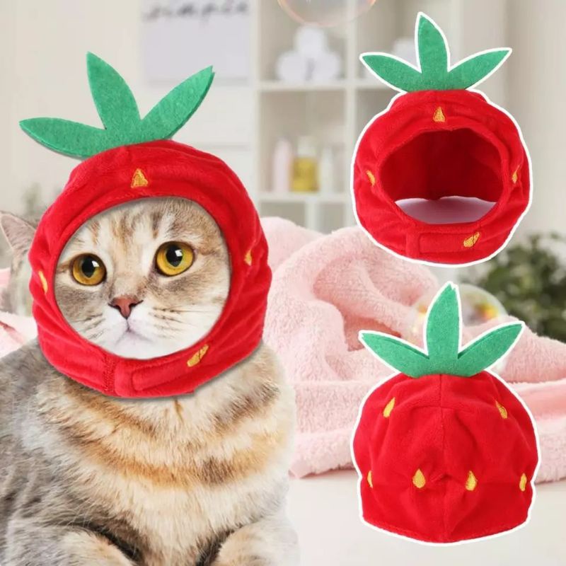 Topi kucing anjing bentuk strawberry