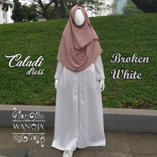 Gamis Syari Pesta Abaya Maxy Dress Hamil Menyusui Cendrawasih Picasso Wanoja hijab Original