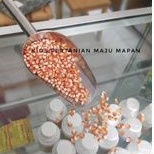 jagung kristal probo 25kg