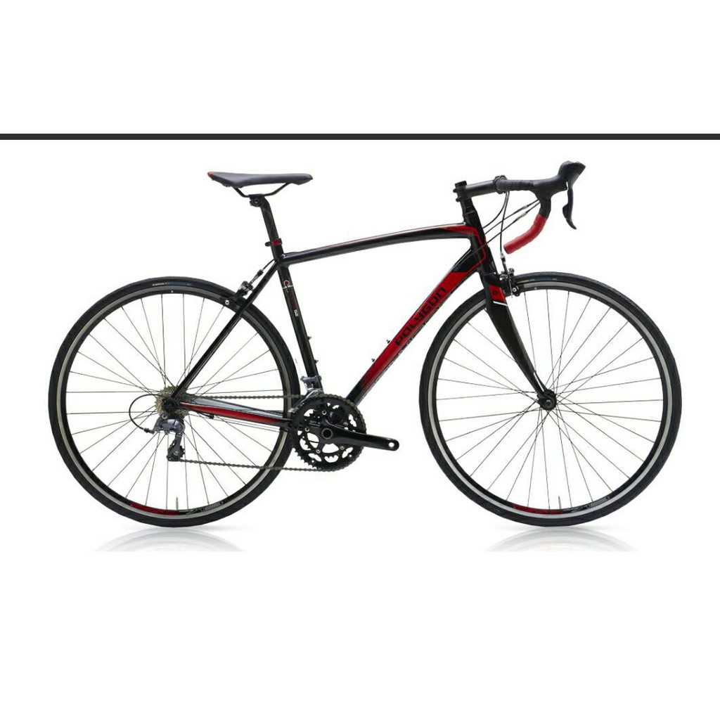 roadbike polygon s2