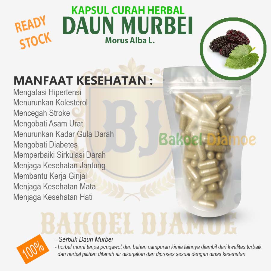 

Kapsul curah herbal daun murbei kappsul herbal asam urat