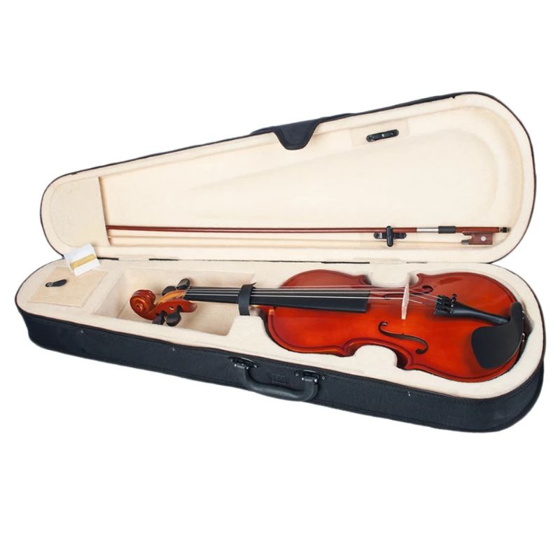 Biola Violin