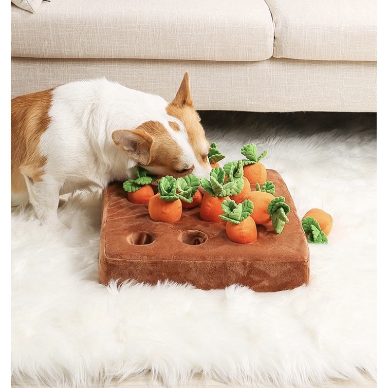 PULL CARROTS Hidden Food TOY