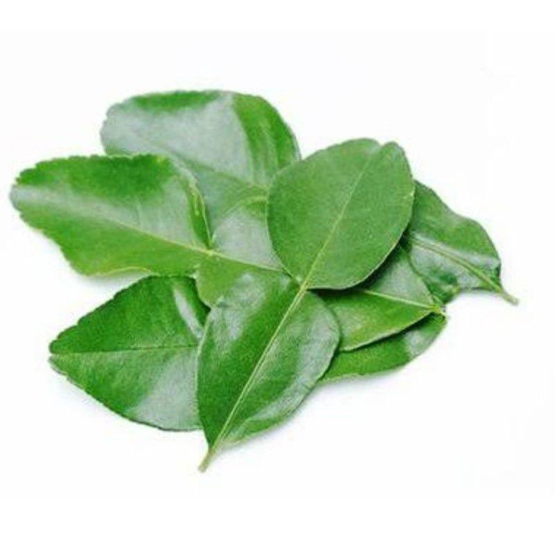 

Daun Jeruk/pack