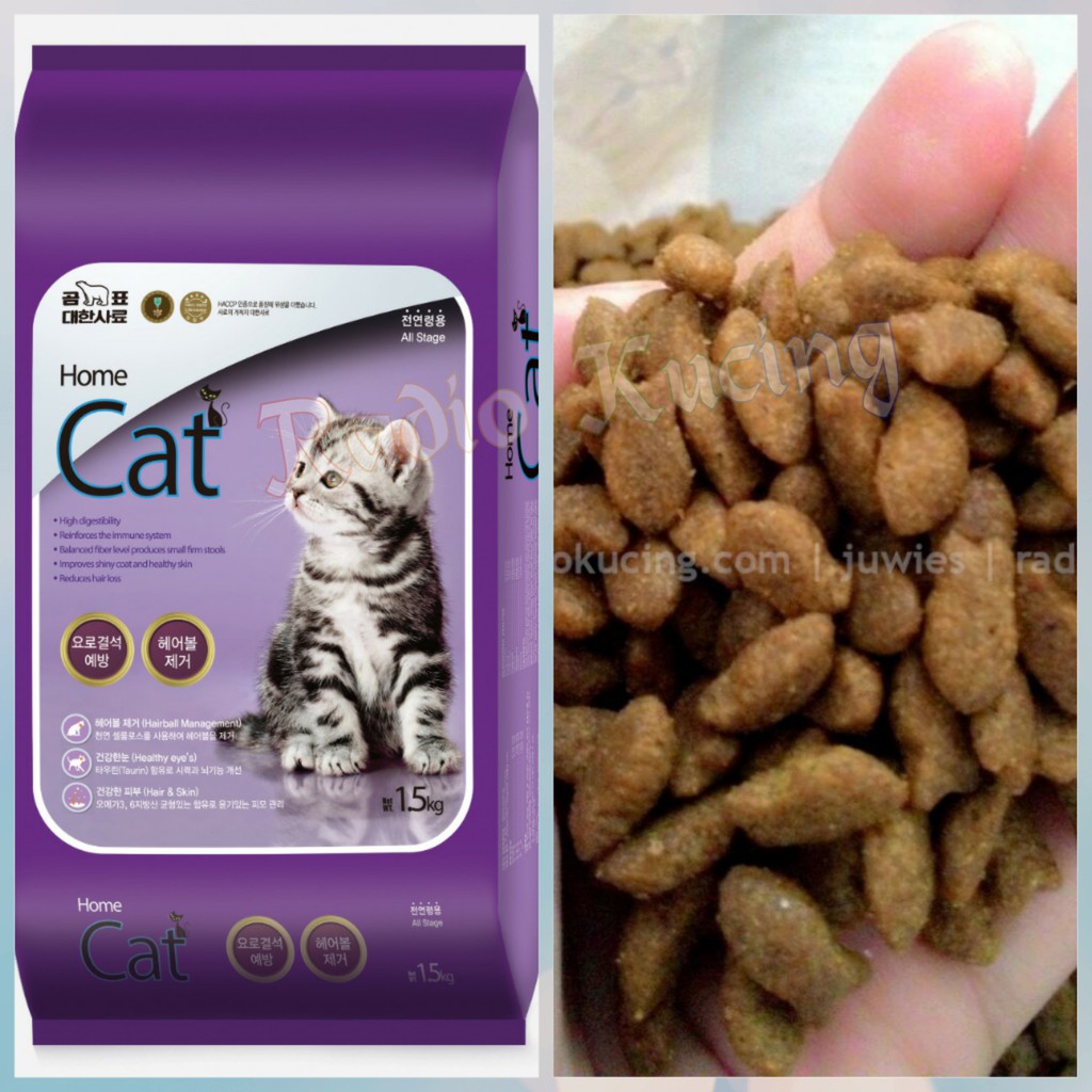 cat food in home