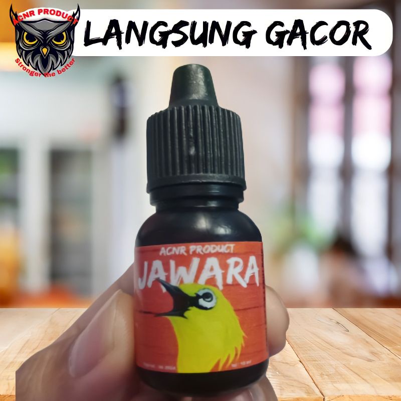 JAWARA OBAT GACOR BURUNF PLECI PENGGACOR BURUNG PLECI VITAMIN BURUNG PLECI