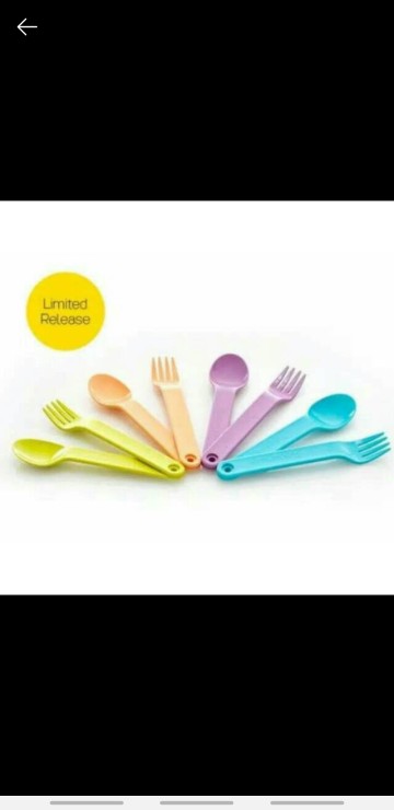 Ecer Cutlery 1pasang