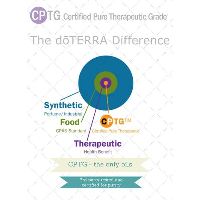 Doterra Past Tense 10Ml Essential Oils I Young Sakit Kepala Living Tokonatun13331