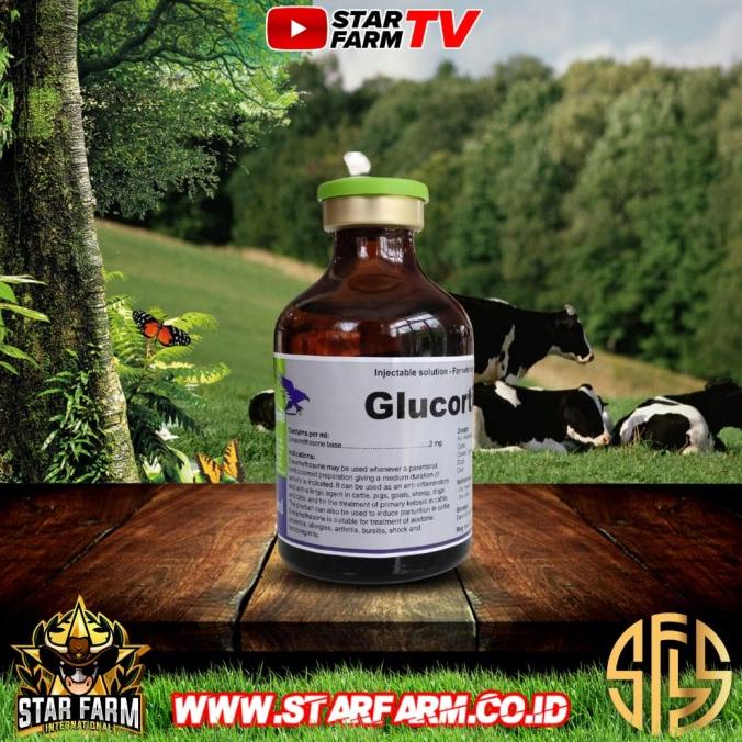 monggo] Glucortin 50ml