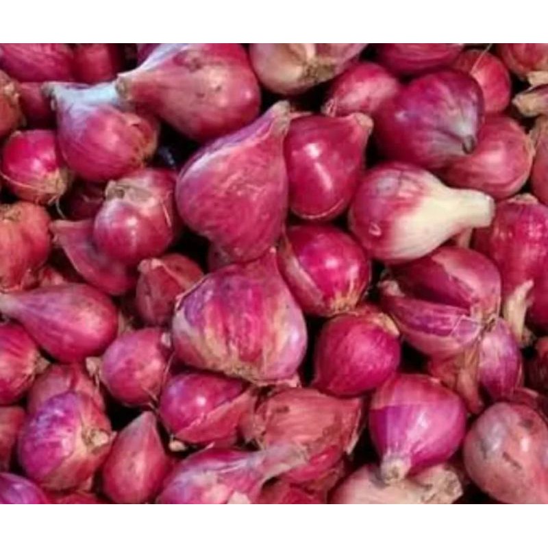 

Bawang Merah