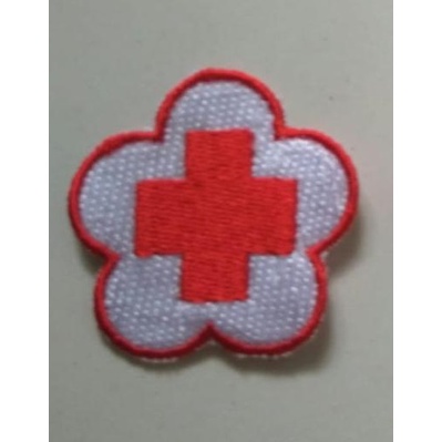 Badge/Patch PMI Plus bordir