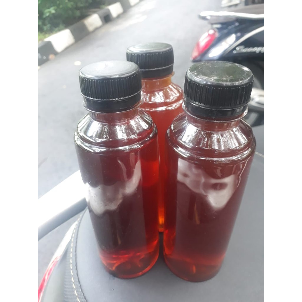 

ekstrak daun ketapang