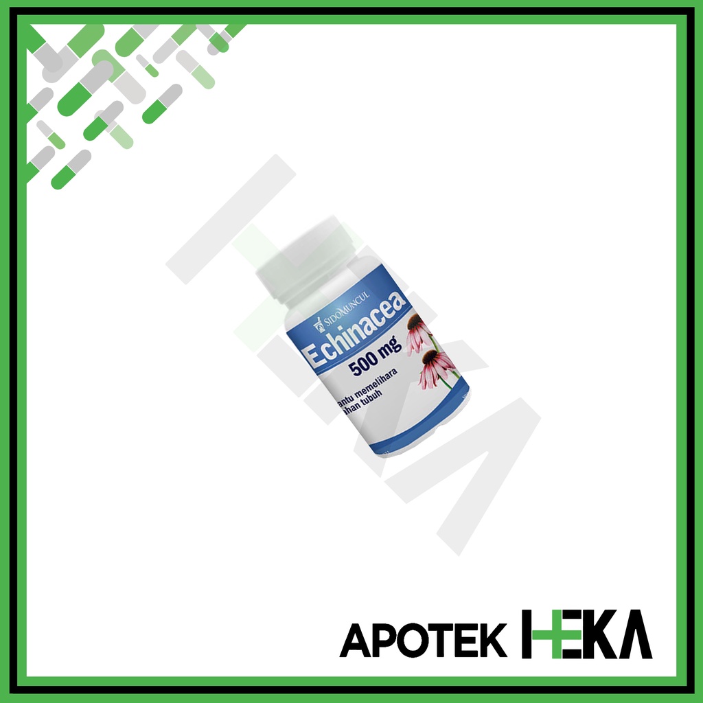 Sido Muncul Echinacea 500 mg isi 30 Kapsul - Meningkatkan Imun (SEMARANG)