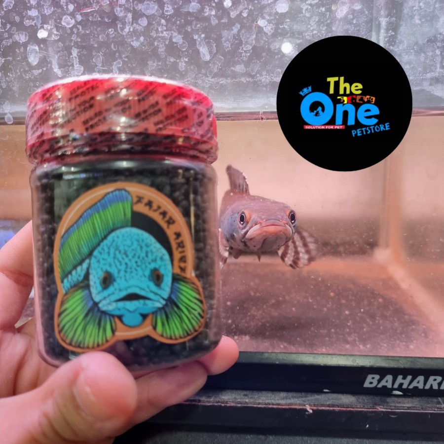 Pelet Virus by Fajar Arief 100% Original Pelet Ikan Channa Dwarft 50gr