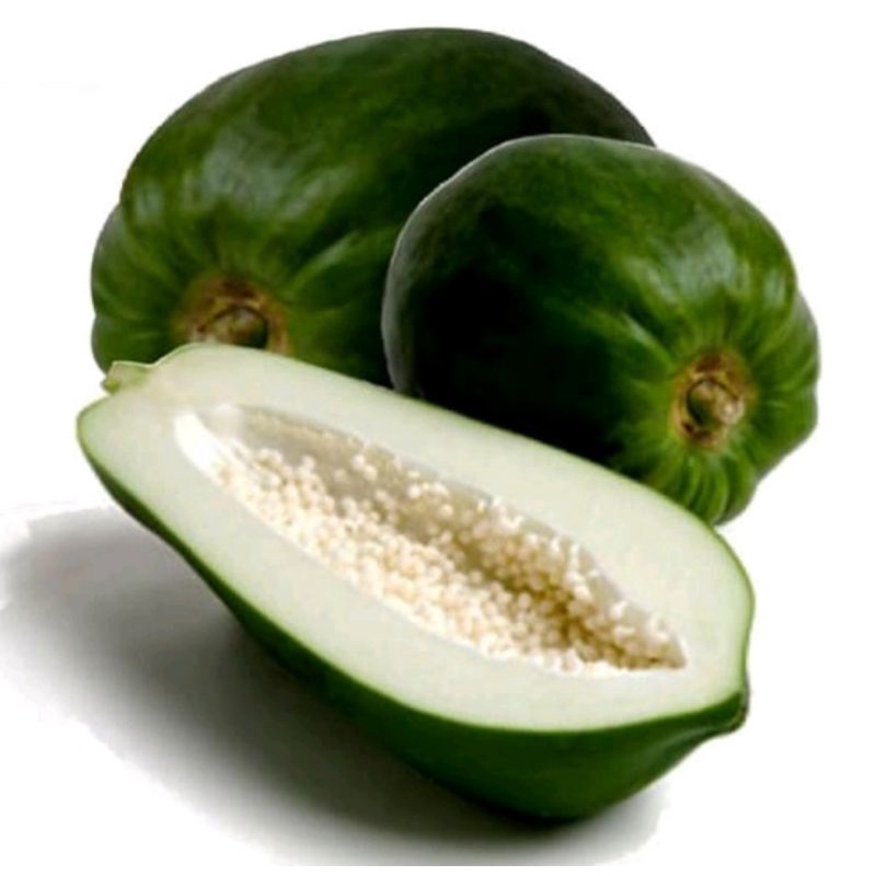 

pepaya sayur belum diserut