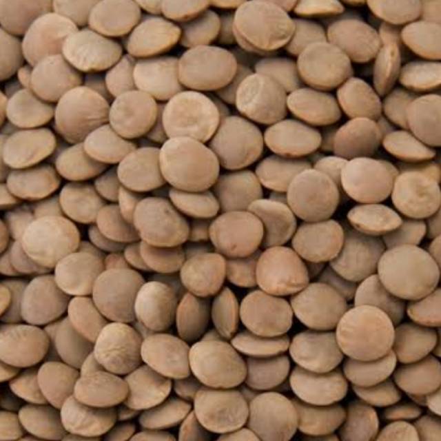 

Lentil coklat/adas/masoor dall 500gr