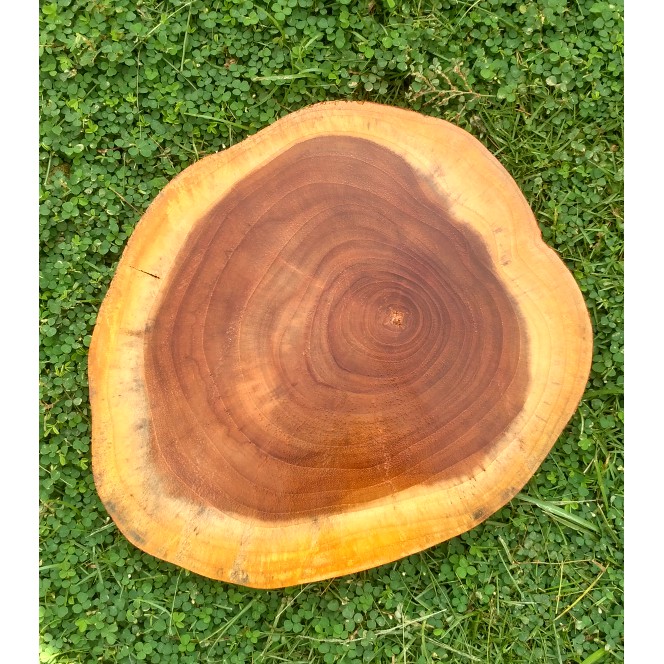 Teak wood slice 26-27 cm dekorasi rustic vintage hiasan talenan dll