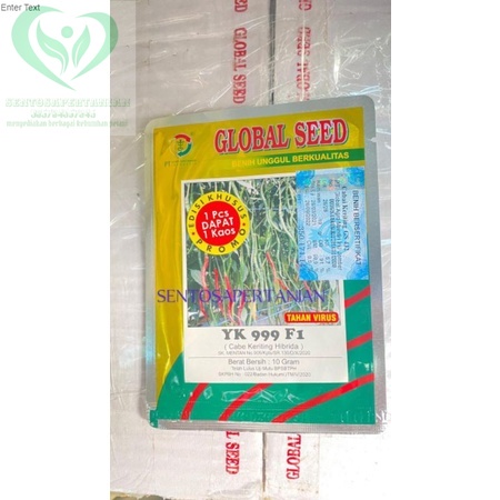 benih cabe keriting hibrida YK 999 F1 10gr dari GLOBAL SEED