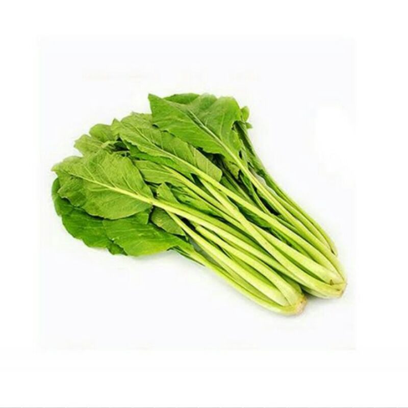 Benih Biji Bibit SAWI CAISIM / SAWI MANIS