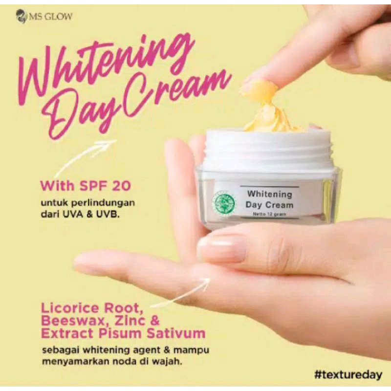 ECER PAKET BASIC MS GLOW