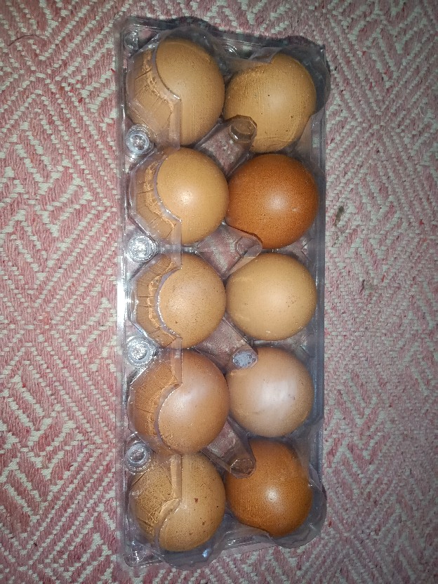 Tray Telur - Egg Tray - Mika Telur Isi 10 Butir