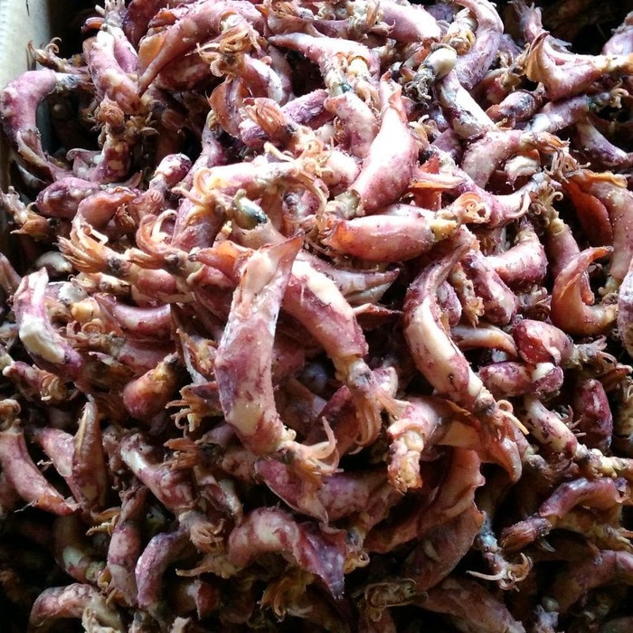 

(best seller)Cumi sotong kering /ikan asin cumi kering/ikan asin tawar cumi asin kerring murah 1 kg/ 500 gr/250gr/ 100grm