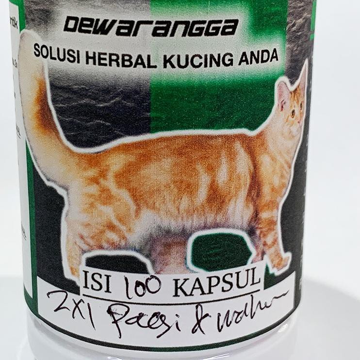 Jual Vitamin Kucing Mencret Diare Akut Pup Berdarah Olive Care Isi 10 Kps Jakarta Selatan New Icats Tokopedia