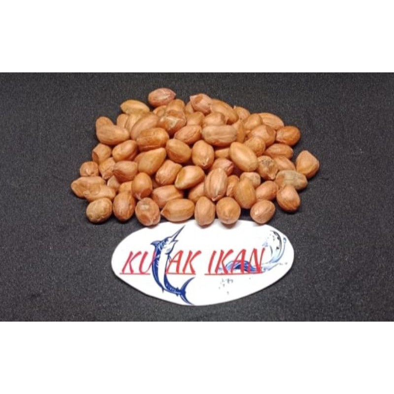 

KACANG TANAH