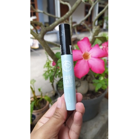 On Colour Lash & Brow Booster