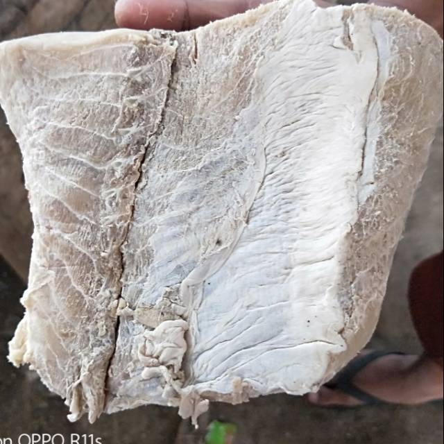 Jambal ikan cucut, 1kg