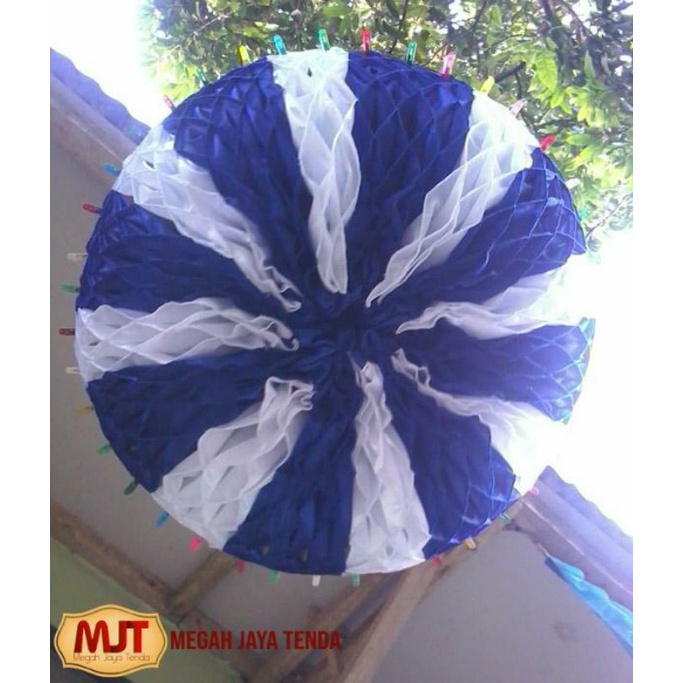 Jantung Plafon / Sarang Tawon