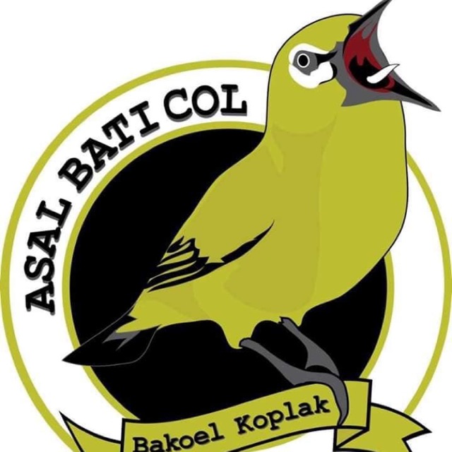 8600 Koleksi Gambar Burung Pleci Kartun Terbaru