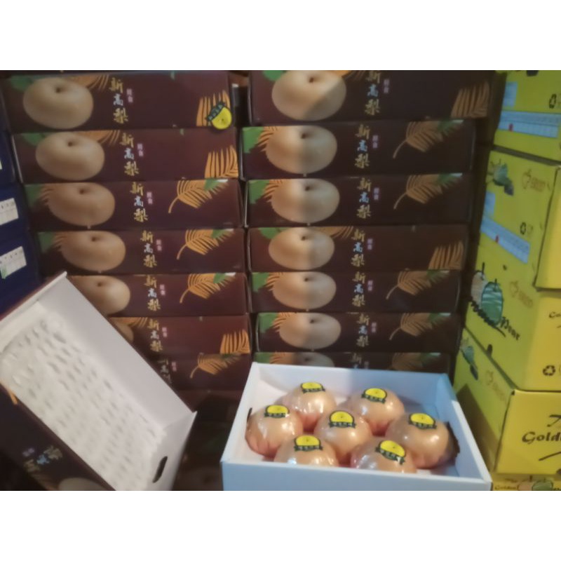 

Pear Korea (Singo) Asli