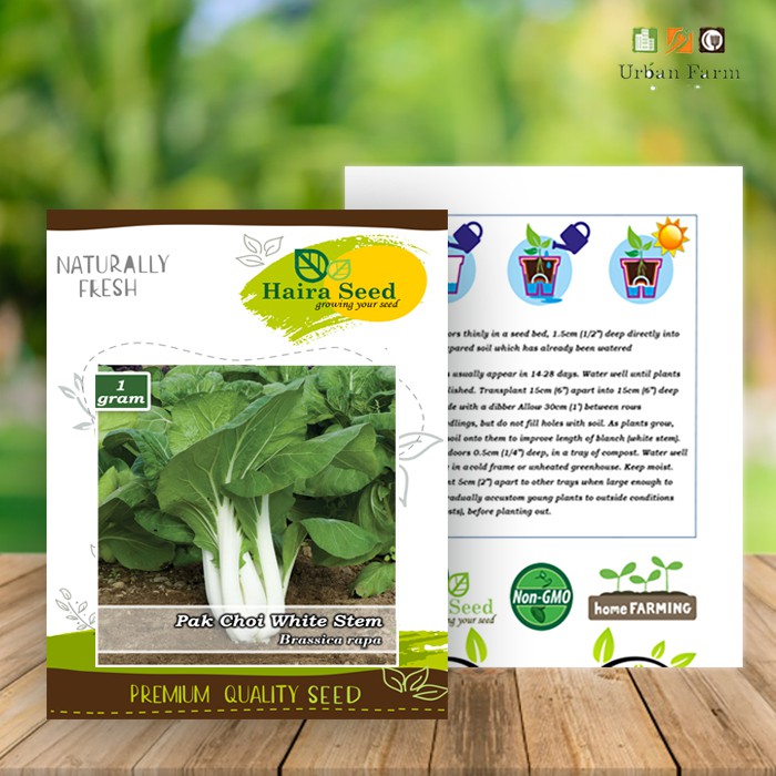 Benih-Bibit Sawi Pakcoy White Steam (Haira Seed)