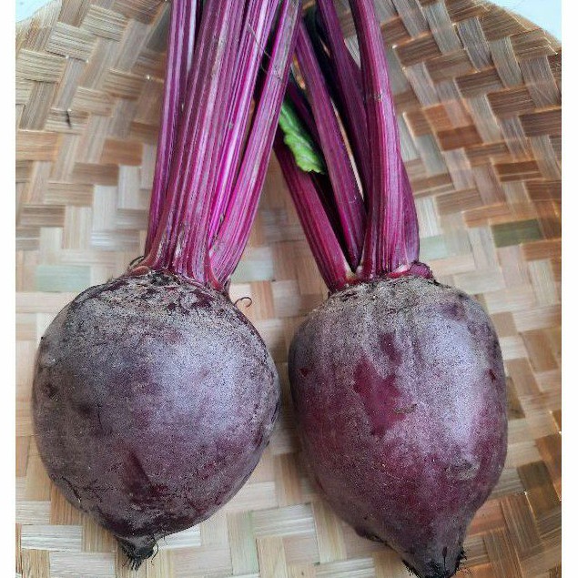 

Buah Bit Fresh 1kg | Beetroot | Bit Merah Organik