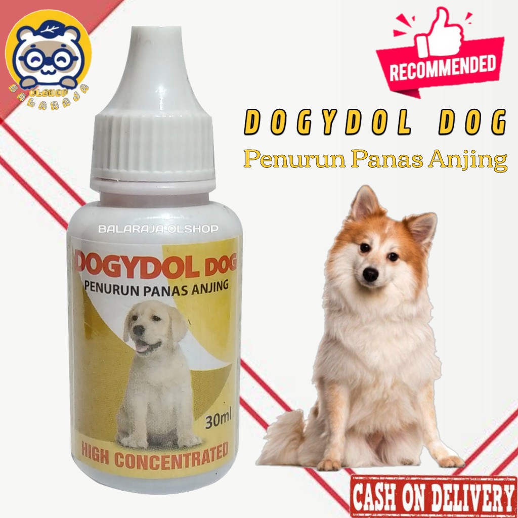 OBAT PENURUN PANAS ANJING OBAT DEMAM ANJING PUPPY - DOGYDOL 30ML