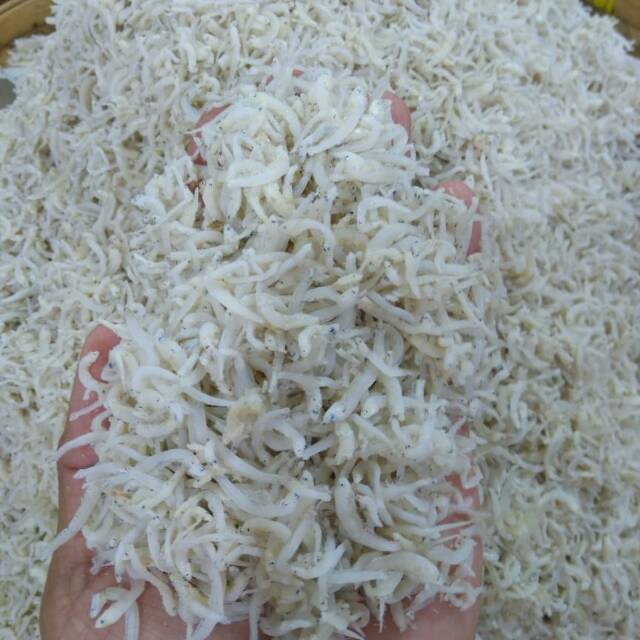 

Teri nasi size sedang