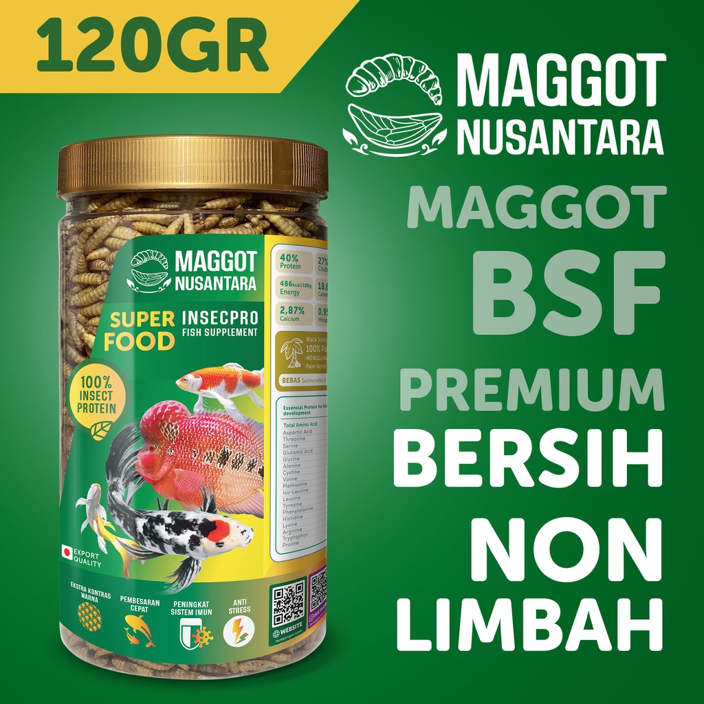 MAGGOT KERING PREMIUM 120 GR PAKAN IKAN PREDATOR, KOI DAN LAIN-LAIN, MAGGOT NUSANTARA