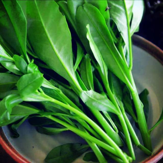 

Gingseng (500 gram )