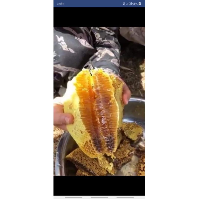 

Aneka madu murni asli