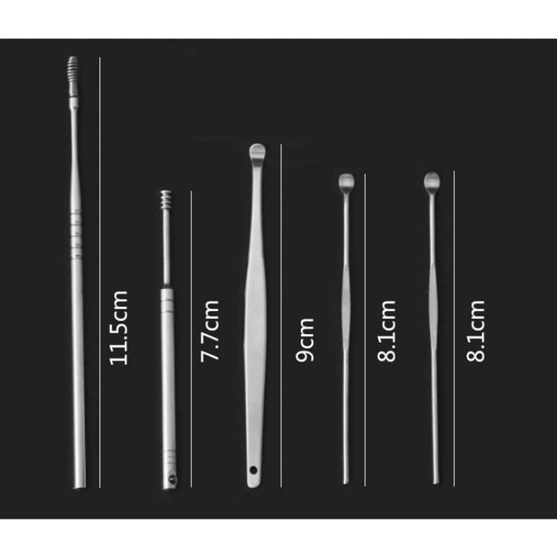 MH80ALAS PEMBERSIH TELINGA SET 5IN1 KOREK KUPING STAINLESS STEEL EARPICK